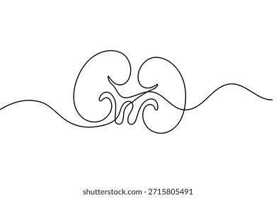 Dibujo continuo de una línea de riñón humano y Ilustración vectorial de contorno aislada de estilo minimalista