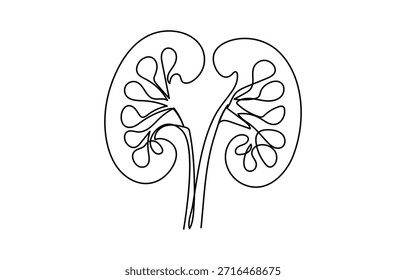 Rim humano contínuo um desenho de linha vetor ilustração desenho de linha contínua de ícone de rim