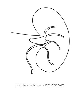 Dibujo continuo de una línea del riñón humano Dibujo continuo de una línea de la Ilustración vectorial del logotipo del riñón