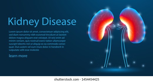 Human Kidney Disease. Medical organ. low poly wireframe theme concept on blue background. Illustration vector.