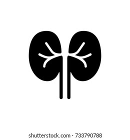 Human kidney icon