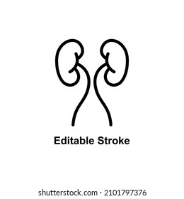 human kidney icon designed in outline style in editable stroke for human anatomy icon theme