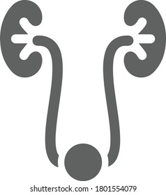 Human kidney icon, gray version