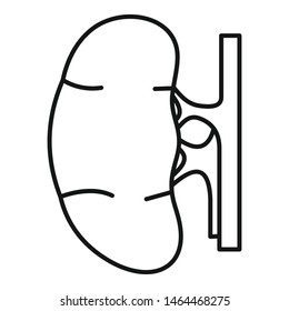 Human kidney icon. Outline human kidney vector icon for web design isolated on white background