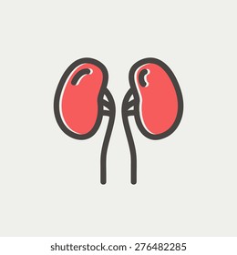 Línea delgada del icono del riñón humano para la web y el diseño móvil, minimalista moderno y plano. Icono del vector con contorno gris oscuro y color de desplazamiento en fondo gris claro.