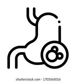 vector de icono del riñón humano. signo de riñón humano. ilustración de símbolo de contorno aislado