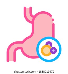 human kidney icon vector. human kidney sign. color symbol illustration
