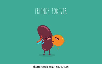 human kidney, human internal organs, orange, fruits. Healthy spleen with orange. Use for card, poster, banner, web design and print on t-shirt. Easy to edit. Vector illustration.