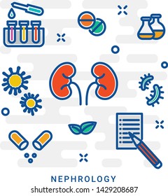 Human kidney line icon. Transplantation organ, nephrology, kidney stone disease, urinary system, renal stone. Linear style sign for mobile concept and web design. Kidney organ outline vector icon