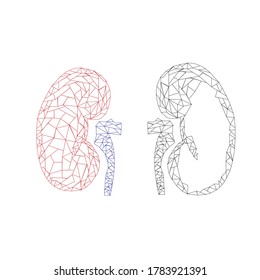 human kidney low poly. medicine disease drug treatment painful area. polygonal triangles 3d shape render.