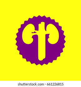 Human kidney medical diagram. Vector. Violet label with hole as icon on yellow background.