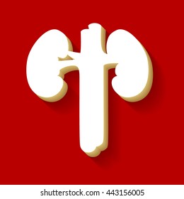 Human kidney medical diagram. White button icon with wood color and shadow on dark red background.