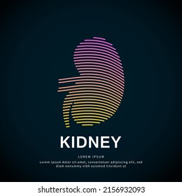 Human kidney medical structure. creative Vector logo kidney color silhouette on a dark background. EPS 10