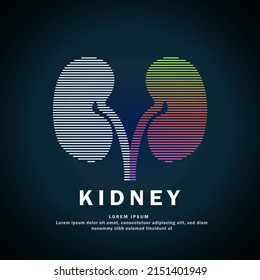 Human kidney medical structure. Vector logo kidney color silhouette on a dark background. EPS 10