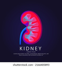 Humanes Nierenkrankenhaus. Vektor Logo Niere Farbe Silhouette auf dunklem Hintergrund. Urology-Logo-Vektorvorlage geeignet für Organisation, Unternehmen oder Gemeinschaft. EPS10