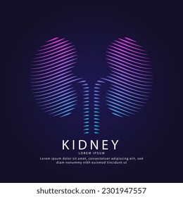 Human kidney medical structure. Vector logo kidney color silhouette on a dark background. Urology vector design - EPS 10