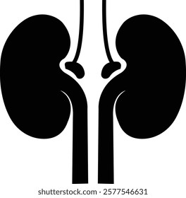 Human Kidney Nephrology flat icon, showing various health and medicine concepts designs, Human body related internal organ. Anatomical kidneys symbol on isolated transparent background. Human anatomy.