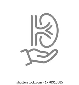 Human Kidney On Hand Line Icon. Rescue, Treatment, Disease Prevention Symbol