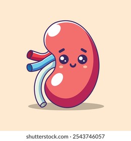 Ilustración de Vector de dibujos animados de órganos de riñón humano. Concepto de icono de objeto de Educación Vector de Premium aislado. Estilo plano de la historieta
