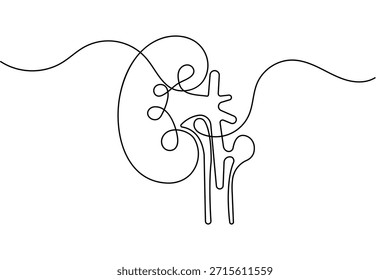 Human kidney organ continuous one line drawing and minimalist style isolated outline vector design