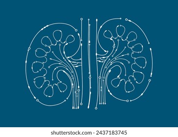 Human kidney organ electronic circuit board outline model. Isolated on blue background. Science medical technology concept. Vector EPS10 illustration.