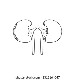 human kidney organ icon. Element of Human parts for mobile concept and web apps icon. Outline, thin line icon for website design and development, app development