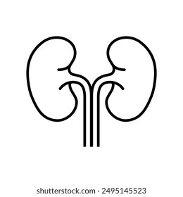 Human Kidney Outline Style Icon Vector