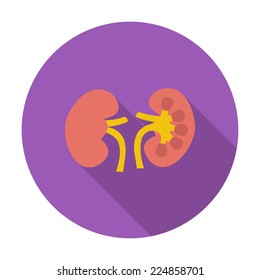 Human Kidney. Single flat color icon. Vector illustration.
