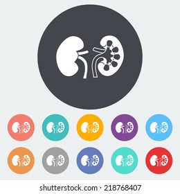 Human Kidney. Single flat icon on the circle. Vector illustration.