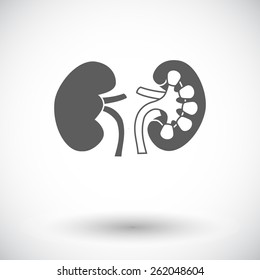 Human Kidney. Single flat icon on white background. Vector illustration.