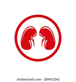Human Kidney. Single flat icon. Vector symbol.