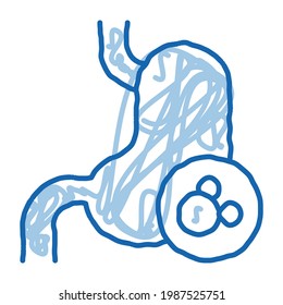 human kidney sketch icon vector. Hand drawn blue doodle line art human kidney sign. isolated symbol illustration