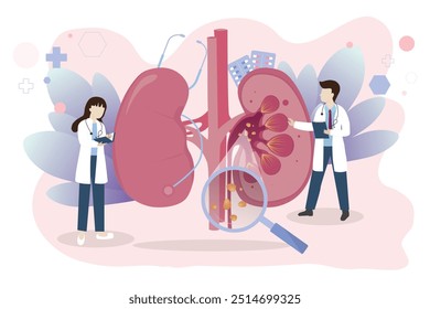 Concepto médico de cálculos renales humanos. Ilustración vectorial de Nefrología. El médico examina y diagnostica la urolitiasis sobre un fondo blanco.