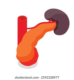 "Human Kidney with Structure Vector Design Illustration" featuring detailed anatomy and internal structure of the kidney. Ideal for medical, educational, and healthcare projects. High-quality vector