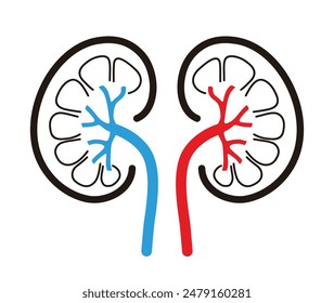 Símbolo de riñón humano. Ilustración vectorial aislada sobre fondo blanco, eps