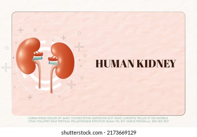 Human Kidney And Treatment Watercolor Style. A Concept Hospital For Wallpaper And Web.