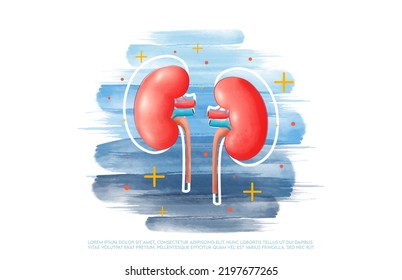 Human Kidney And Treatment Watercolor Style. A Concept Hospital For Wallpaper And Web.