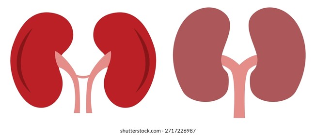  Conjunto de ícones de vetor renal humano — Contorno, preenchido, estilos de traçado em plano de fundo transparente
