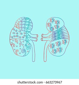 Human kidney zentangle