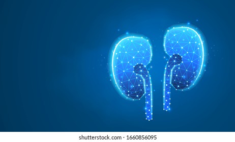 Human kidneys. Adult body anatomy, health biology Abstract polygonal image on blue neon background