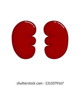 Human Kidneys anatomy icon. flat cartoon style. bright and cute. Isolated on white background. vector illustration.