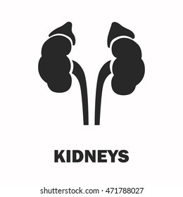Human kidneys black icon