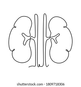 Human kidneys continuous one line drawing - Vector illustration
