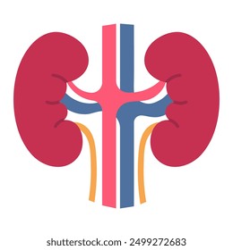 Icono plano de los riñones humanos aislado en el fondo blanco