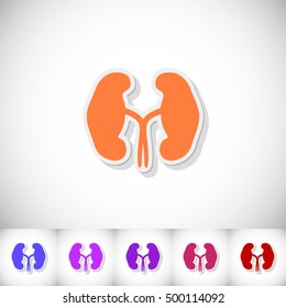 Human kidneys. Flat sticker with shadow on white background. Vector illustration