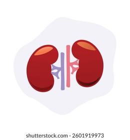 Human kidneys high quality vector illustrator. Kidney diseases and the human body.