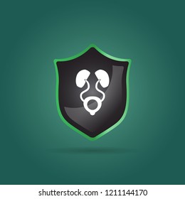 human kidneys icon