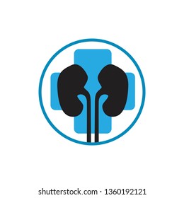 Human kidneys icon