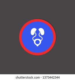 human kidneys icon
