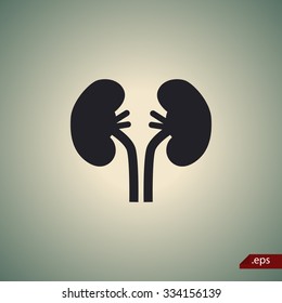 Human kidneys icon